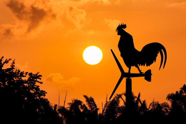 Roosters crow stand on a wind turbine.
