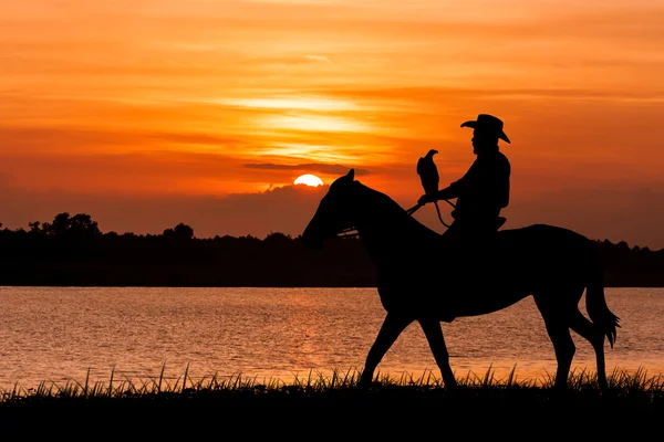 Silhouette eines Cowboys auf seinem Pferd — Stockfoto