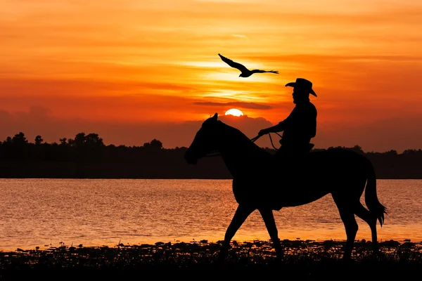 Silhuett av Cowboy sitter på sin häst — Stockfoto