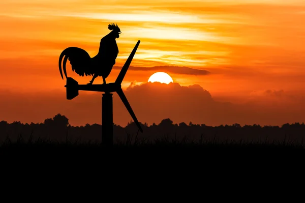 Silhouette of roosters crow stand on a wind turbine — Stock Photo, Image