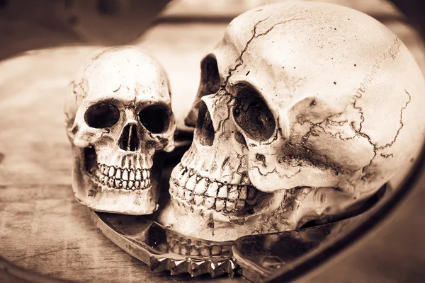 Still life and vintage of skull human with handcuff and bullet . — Stock Photo, Image