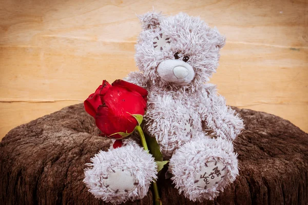 Medvídek s červenou růží na dřevěné pozadí — Stock fotografie