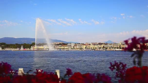 Озеро Фонтаном Женеве Швейцария — стоковое видео