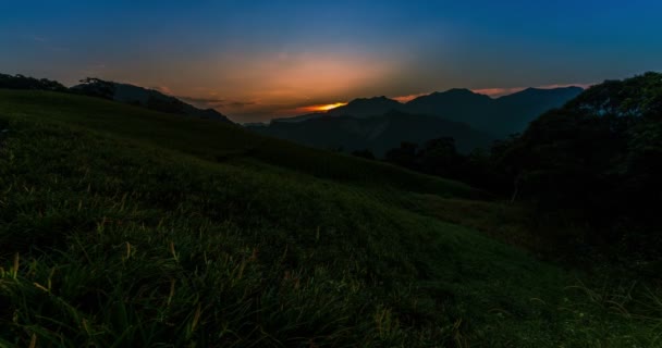 Sunrise Timelapse Των Λουλουδιών Daylily Στο Βουνό Της Ταϊβάν — Αρχείο Βίντεο