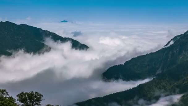 台湾太子国家公园黎明时分合欢山的日出 — 图库视频影像