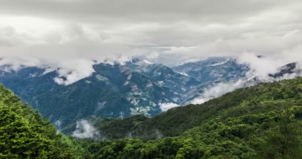 Moře mraků v Hehuanshan National Forest Park — Stock video