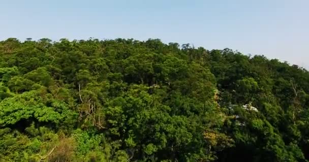 Şafakta Hehuanshan Hava Görüntüsü — Stok video