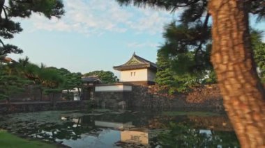 Odawara City, Japonya 'daki Odawara Kalesi manzarası