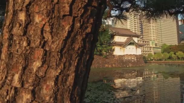 Вид Замок Одаара Місті Одаара Японія — стокове відео