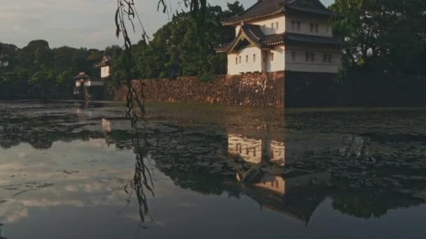 Widok Zamek Odawara Odawara Japonia — Wideo stockowe