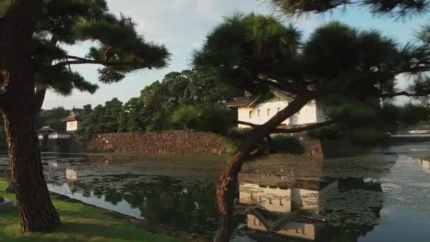 Імператорський Палац Токіо Японія Сонячний День — стокове відео