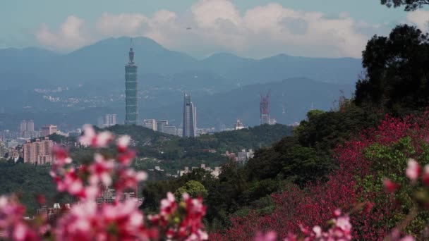 Primavera Taipei Paisagem Viajar — Vídeo de Stock