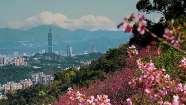 Primavera Taipei Paisaje Viaje — Vídeo de stock