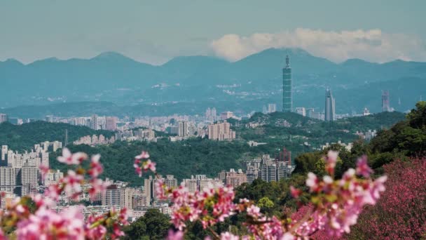 Spring Taipei Landskap Resor — Stockvideo