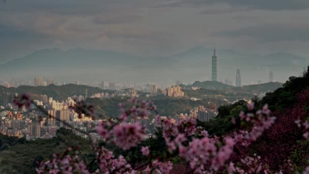 Primavera Taipei Paisagem Viajar — Vídeo de Stock