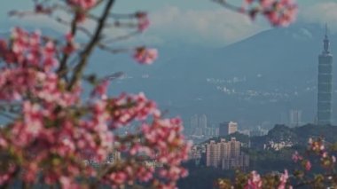 Bahar Taipei manzarası, seyahat. Tayvan
