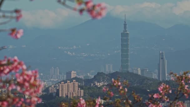 Весна Тайбэй Пейзаж Путешествия Тайвань — стоковое видео