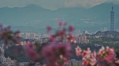 Bahar Taipei manzarası, seyahat. Tayvan