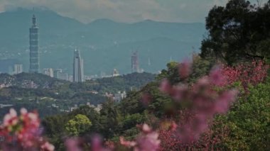 Bahar Taipei manzarası, seyahat. Tayvan