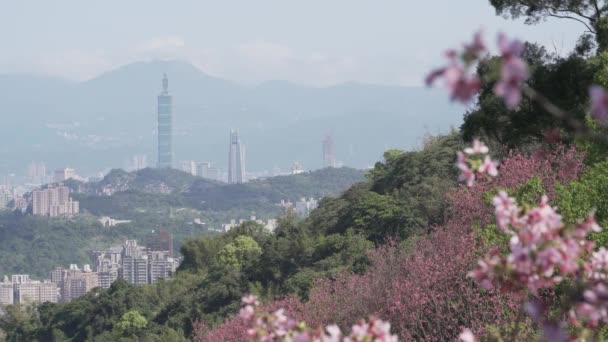 Primavera Taipei Paisagem Viagens Taiwan — Vídeo de Stock