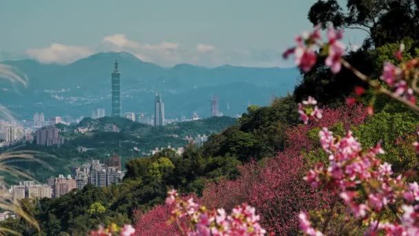 Весняний Тайбейський Пейзаж Подорожі Тайвані — стокове відео