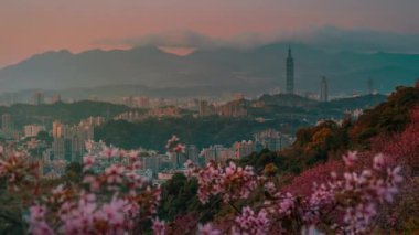 Bahar Taipei manzarası, seyahat. Tayvan
