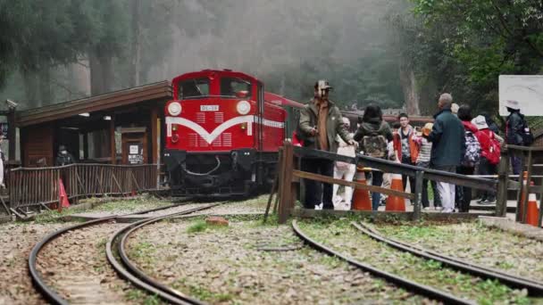 Tren Primavera Concepto Bosque Ferrocarril Con Hermosa Flor Cerezo Parque — Vídeos de Stock