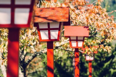 Japonya 'daki Fujimi Kotoku Parkı' ndaki Fenerlerin Manzarası