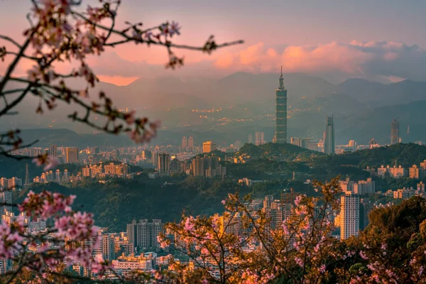 Bahar Tayvan Taipei Şehri Ile Kiraz Çiçeklerinin Güzel Şafak Manzarası — Stok fotoğraf