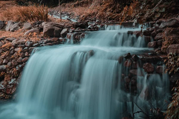 Wulai 'nin kelebek parkında yürüyüş parkı, New Taipei, Tayvan