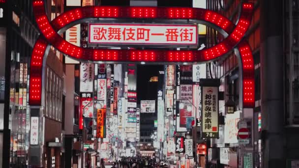 Άνθρωποι Στο Δρόμο Της Tokyo Japan — Αρχείο Βίντεο