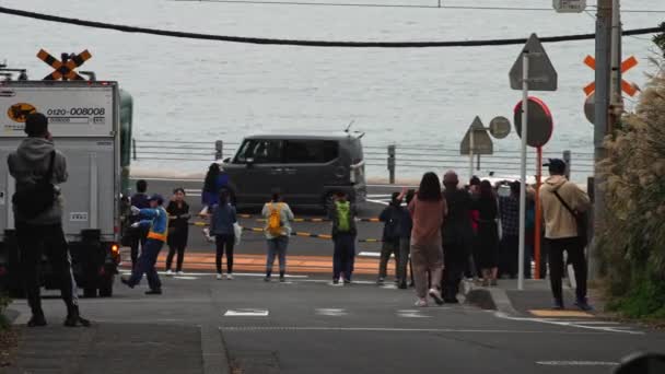 Kamakura Japão Março 2018 Trem Linha Enoden Passando Pela Estação — Vídeo de Stock