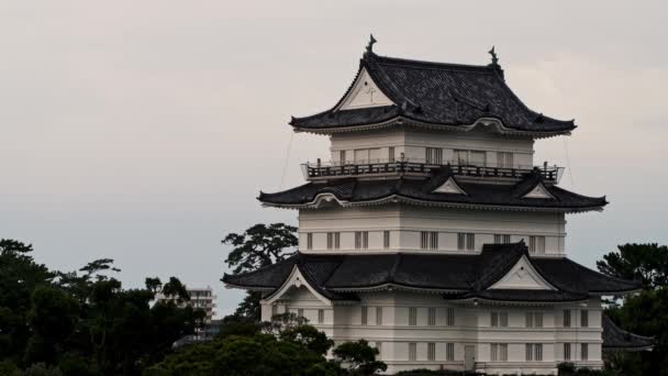 Odawara Kalesi Japonya Nın Odawara Şehrinin Merkezinde Yer Almaktadır — Stok video