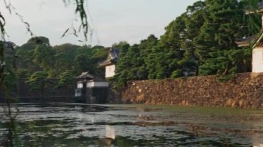 Odawara Kalesi Japonya 'nın Odawara şehrinin merkezinde yer almaktadır.