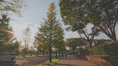 İnsanlar şehir parkında eğleniyor. 