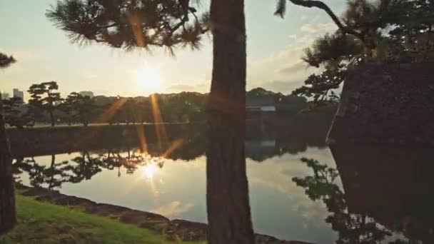 Odawara Kalesi Japonya Nın Odawara Şehrinin Merkezinde Yer Almaktadır — Stok video