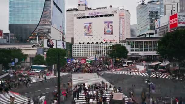 Tokio Japan Time Lapse Pedestrians People Crosswalk Shibuya District Area — Stockvideo