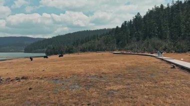 Shangri-La Yunnan Çin 'deki Shudu gölü ve ormanıyla birlikte İHA görüntülerinin üzerinden uçtu.