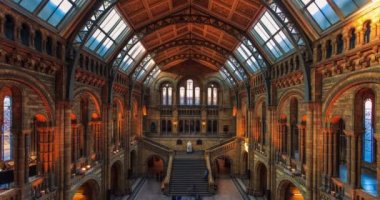 Doğa Tarihi Müzesi, London.Uk