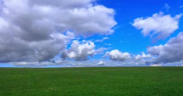 Wolken hemel met groene veld — Stockvideo