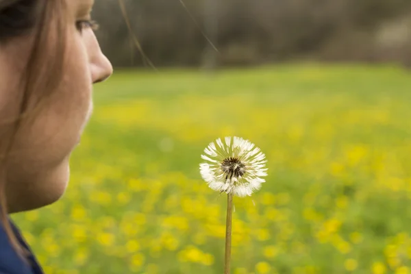 Woman with a dandelion in hands — Stock Photo, Image