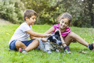 Tarlada bir çoban köpeğiyle oynayan iki çocuk.