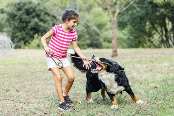 Little Girl Attacked Dog — Stock Photo, Image