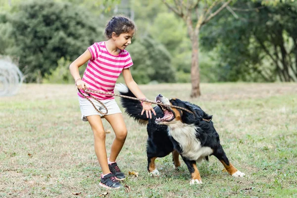 Küçük kız bir köpek tarafından saldırıya uğradı.