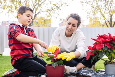 Anne ve oğul bahçede çiçek dikiyorlar.