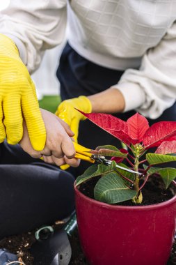Anne ve oğlu bahçede çiçek dikiyorlar. İlk görünüm.