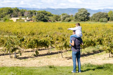 Baba ve oğul üzüm bağı arıyor.