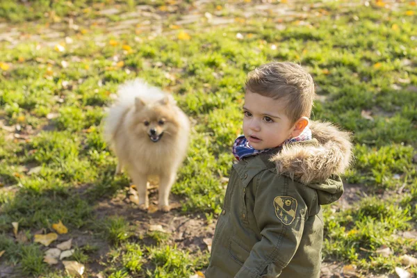 Roztomilý kluk se psem — Stock fotografie