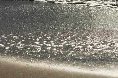 Okyanus kıyısında kumlu plajı ile