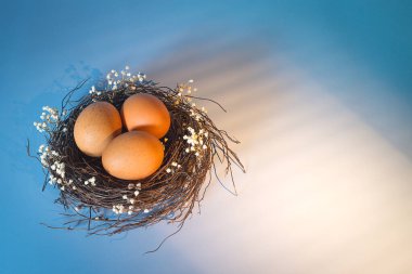 Paskalya sepeti ve bahar çiçekleri. Ahşap arka planda paskalya yumurtaları. Sabah güneşli pencere ışıkları. Paskalya bayramı metni için boşluk kopyala